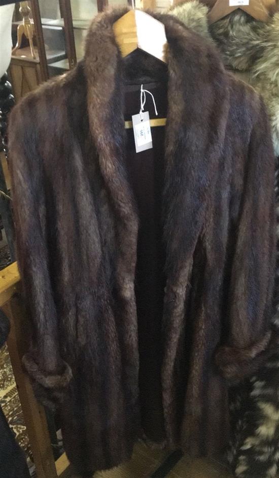 Musquash fur coat